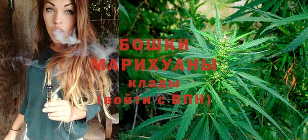 индика Алзамай