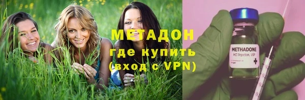 индика Алзамай
